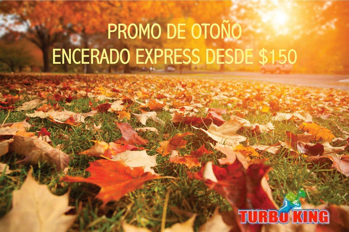 TurbokingGDL's tweet photo. Bienvenido el Otoño, termina la promo de Garantía de Lluvia , y damos comienzo a otra super promoción! Aprovéchala! Tel 31213452 https://t.co/wpmX43sTwn