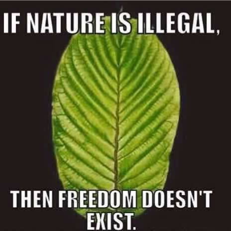 23LeavesKray's tweet photo. Kratom supporters. Want to stop the ban? Follow these instructions-> https://t.co/VYoc5kGQTd by 12PM on 09/20/16!! https://t.co/vn8b5LqfEW