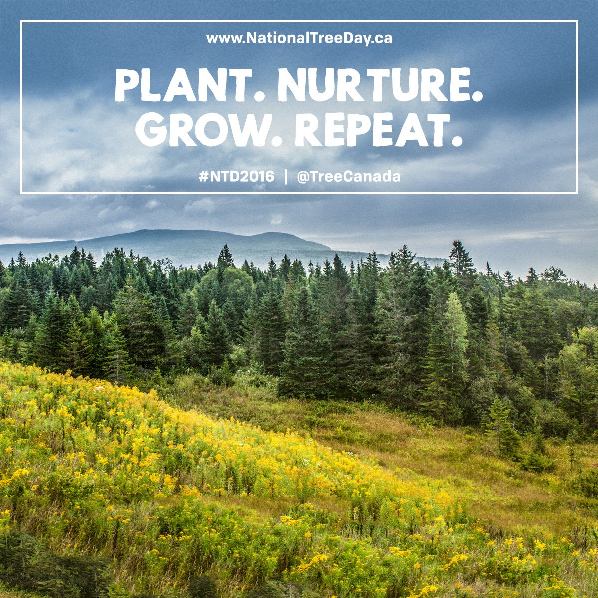 OxEquipment's tweet photo. Today is #NationalTreeDay! With our #DrySuction we can excavate around tree roots without damaging them! #TreeProtection #NTD2016 https://t.co/LFehHSDgZV