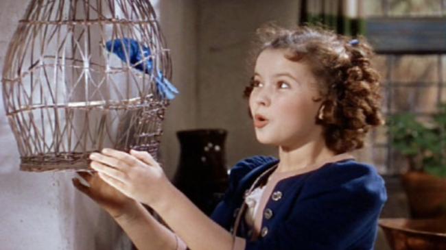 ThreeMovieBuffs's tweet photo. Read Eric's review of "Blue Bird, The" https://t.co/QWXNGFPqPC #review #bluebird https://t.co/AMz3IiHTTh