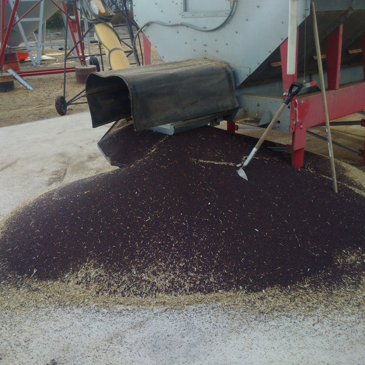 Enge30's tweet image. When you&apos;re excited that you had a good night of drying, but realize just auger breakdown. #grainfarmproblems