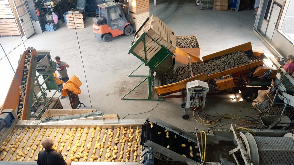 Dankzij kunstmatige bui kunnen we netjes rooien. De grote patatten worden gelijk gewassen <a href="/BramLadage/">Bram Ladage</a> #powertothepieper