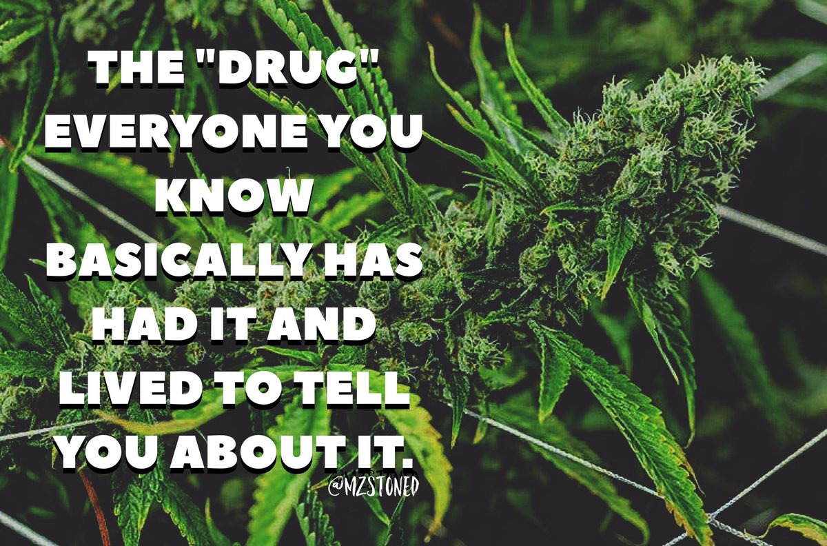 mzstoned tweet picture