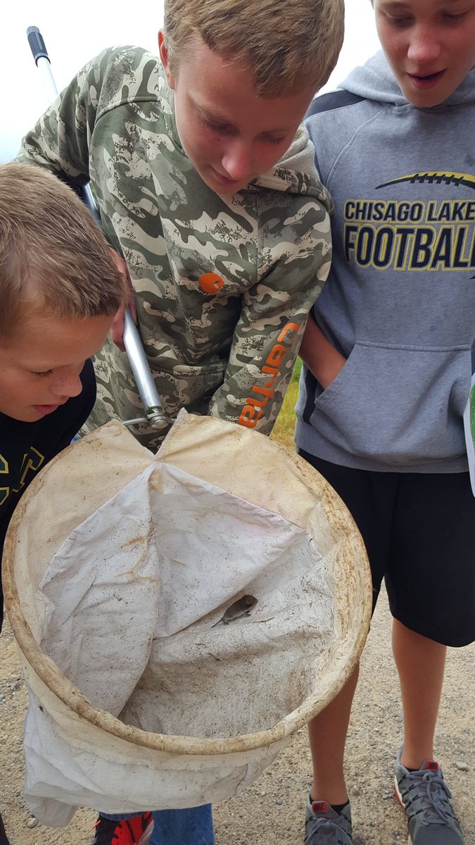 Caught a vole while #sweepnetting in #7thgrade #LifeSci