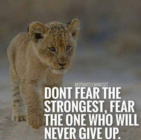 GrottoGroup's tweet image. 