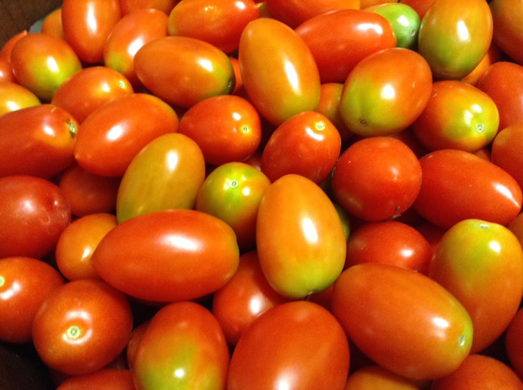 Flik St Mark's tweet media