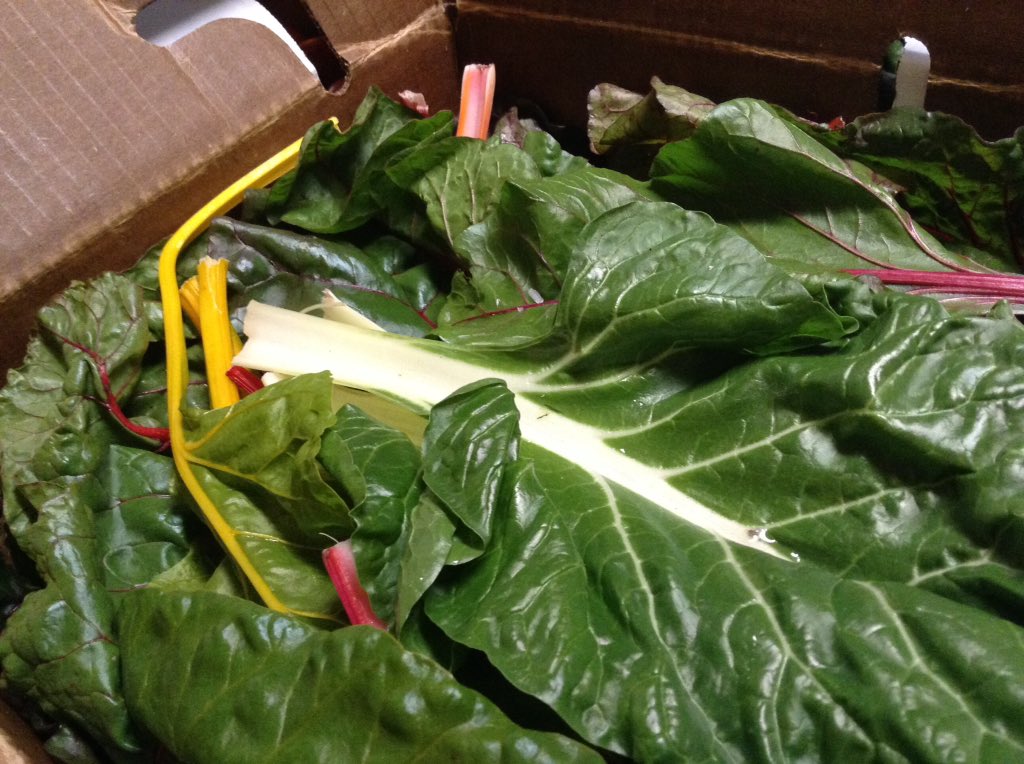 Flik St Mark's (@flikstmarks) on Twitter photo Great Feeling when seeing Produce from <a href="/thetrustees/">The Trustees</a> Chestnut Hill Farm @SMAlumni <a href="/FlikISDining/">FLIK Independent School Dining</a> Great Feeling when seeing Produce from <a href="/thetrustees/">The Trustees</a> Chestnut Hill Farm @SMAlumni <a href="/FlikISDining/">FLIK Independent School Dining</a>