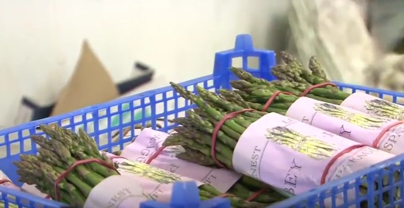 See how asparagus goes from #farmtofork here in #Lincolnshire ow.ly/1JtL304qr1k <a href="/AbbeyParksFarm/">Abbey Parks</a> #EatLocal