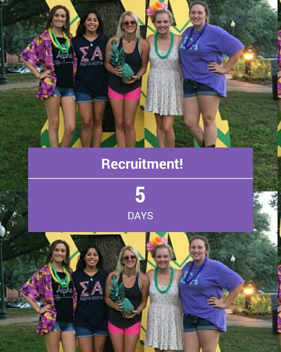 TSUSigmaAlpha's tweet photo. 💚💛 Only 5 days left until recruitment!💚💛 We want to see all of you at IGC Info Night on monday! #rushSigmaAlpha #TSUSigmaAlpha #SigmaAlpha https://t.co/ujAASYXIRT