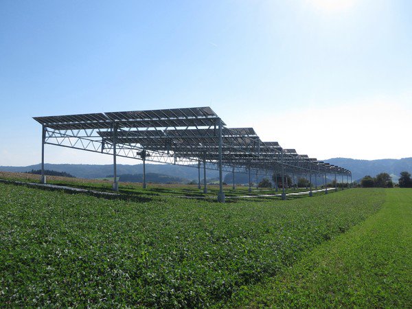 Agrarphotovoltaik: Forscher nehmen mit Solarmodulen überdachtes Feld in Betrieb - trendsderzukunft.de/agrarphotovolt…