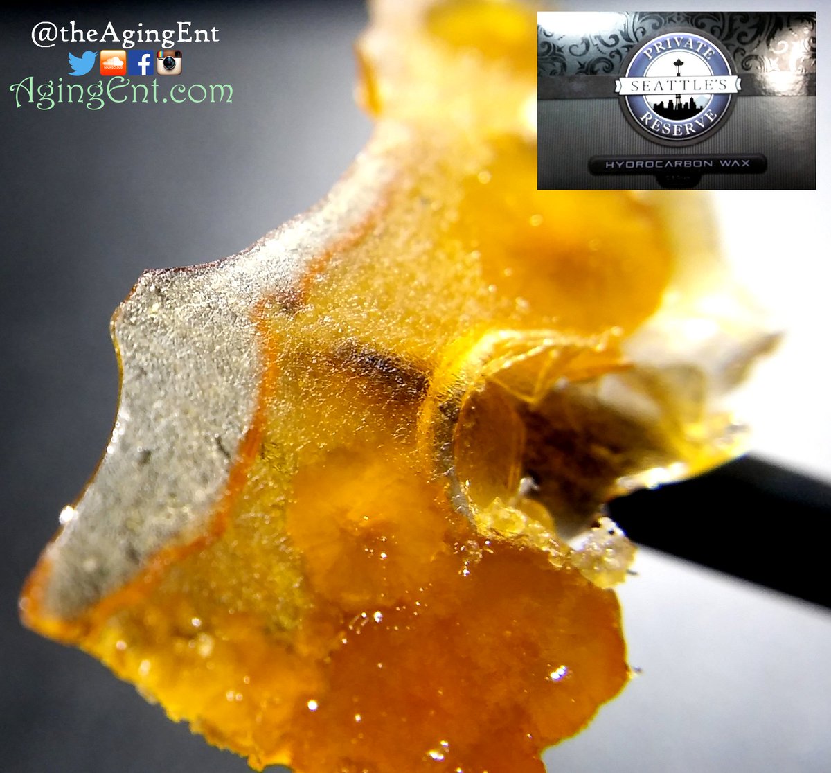 theAgingEnt's tweet photo. #GCut #LiveResin from @SeattleSPR

https://t.co/ESBnMhUnPn

#dablife #translucent #legaldabs #euphoric #clean #dab #xmasdab #getstoned https://t.co/BpgOvrZr31