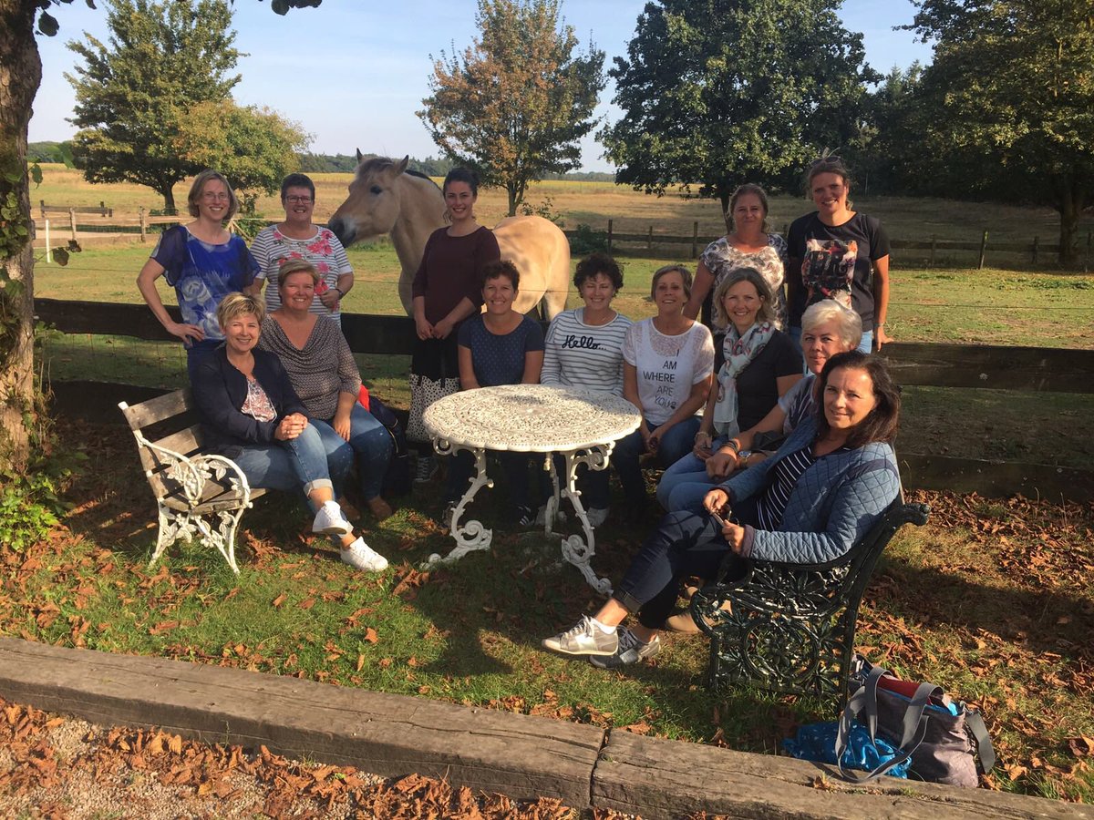 Teambuilding Opleidingscentrum Paarden mennen en (iedereen!) zelf rijden #deVerdieping #leiden #volgen #plezier!