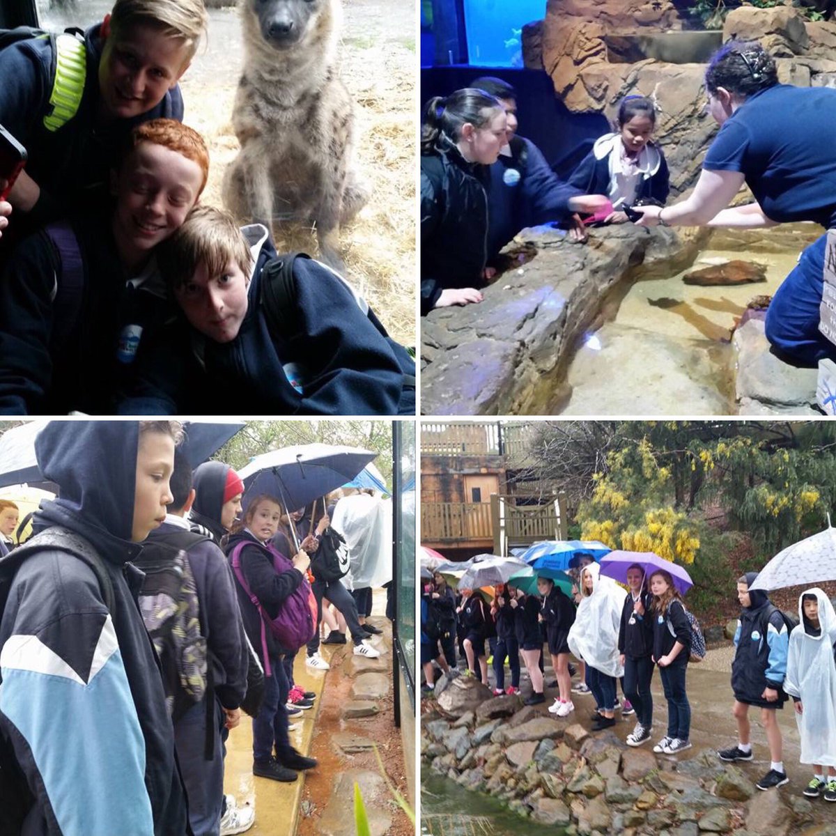 LanyonHS's tweet photo. Year 7 bonding at the @national_zoo #LanHS https://t.co/O7aYt75fNA