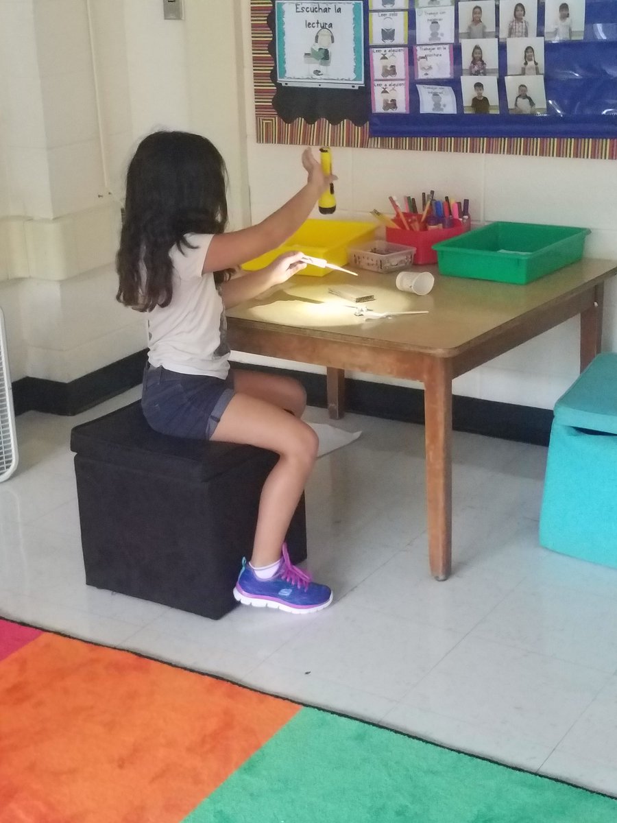 MsGistenson's tweet photo. Learning about how we make shadows! @RedOakRockets https://t.co/UTDW2l3UhH