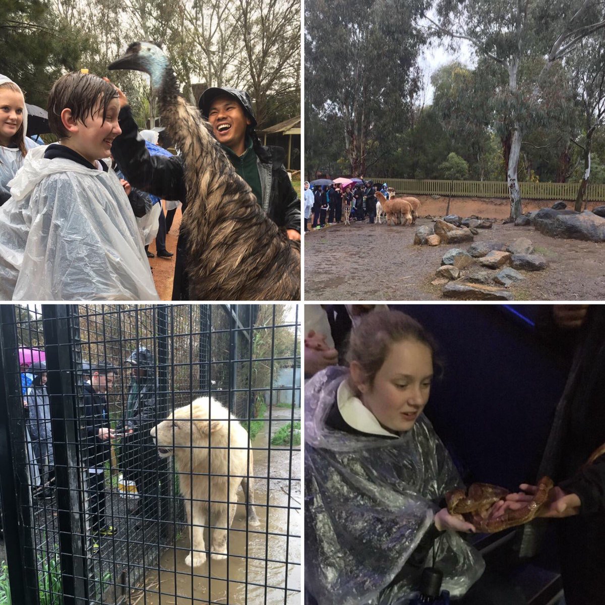 LanyonHS's tweet photo. Year 7 bonding at the @national_zoo #LanHS https://t.co/O7aYt75fNA