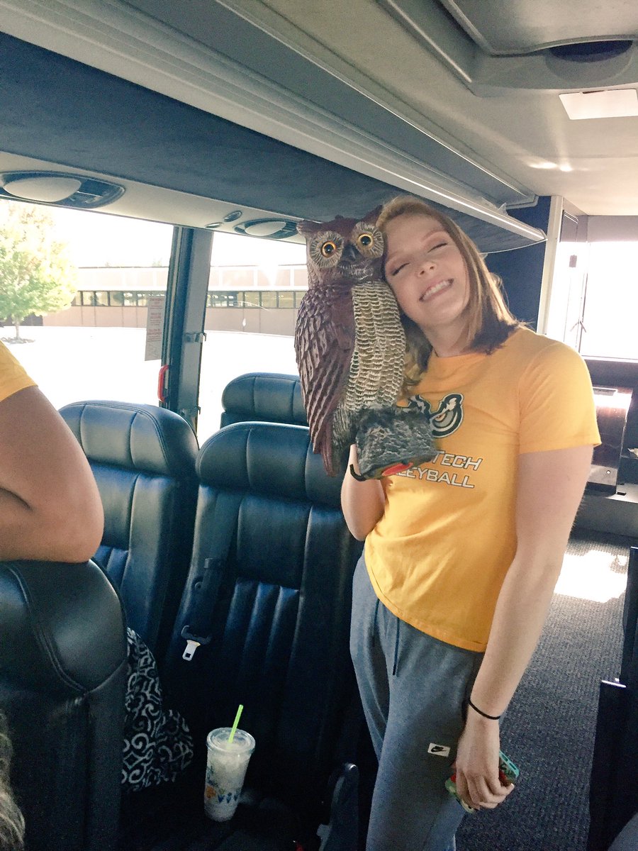 waverlyygreen's tweet photo. Gamedayyyy #scohustlinowls #beatSOU @ZSimoneLeaks @hanna_carey https://t.co/PBCz26PZxS