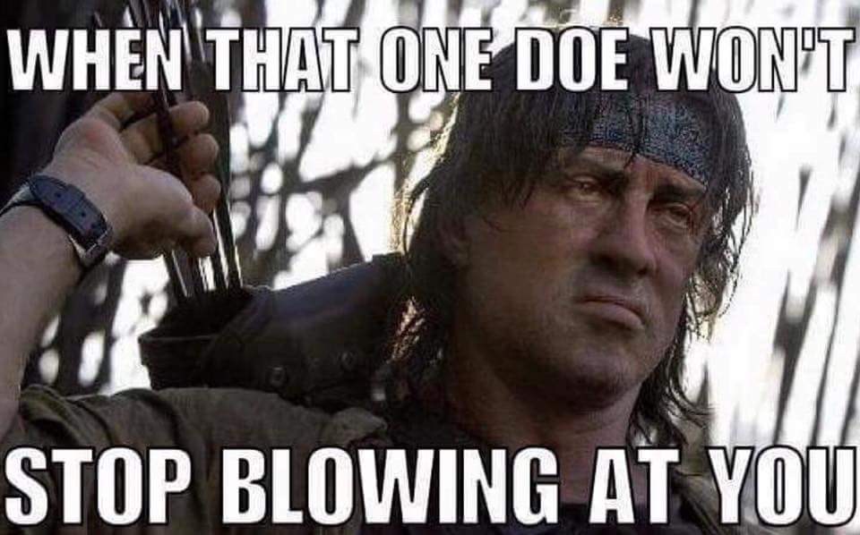 Does taste better than antlers anyway. Hunters in the know will take a doe.