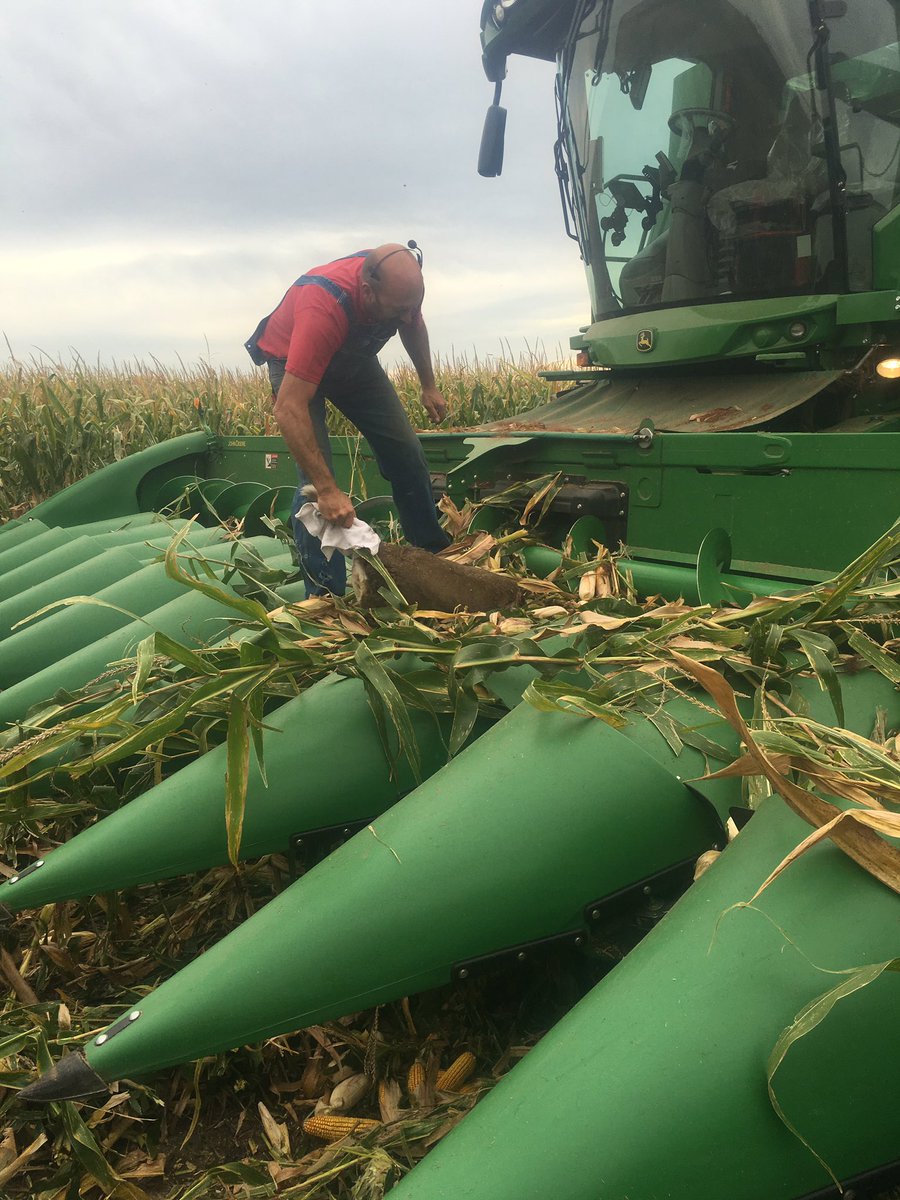 ZoerbFarmsJr's tweet photo. Doing some @360yieldcenter #chainroll testing for @180YieldFailure this morning. Head-1 Deer-1/2 #harvest16 https://t.co/m2DFvU7XsU
