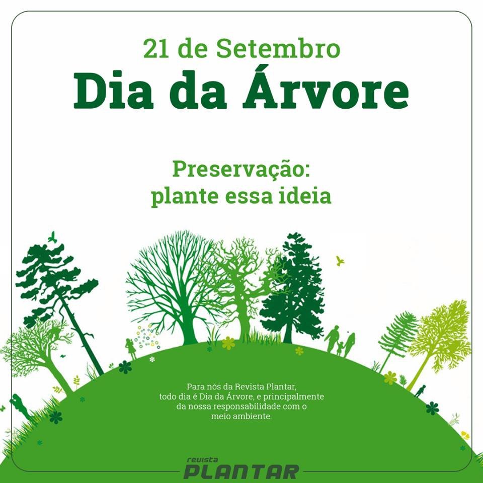 revistaplantar's tweet photo. Plante essa ideia. Afinal, a responsabilidade também é nossa! 🌴💚🌲
#RevistaPlantar #diadaarvore #meioa https://t.co/6eRkpEemCv