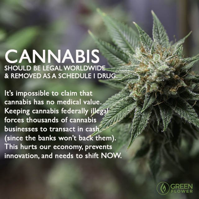 greenflwrmedia's tweet photo. Cannabis truth. https://t.co/Imwr5UMmrT