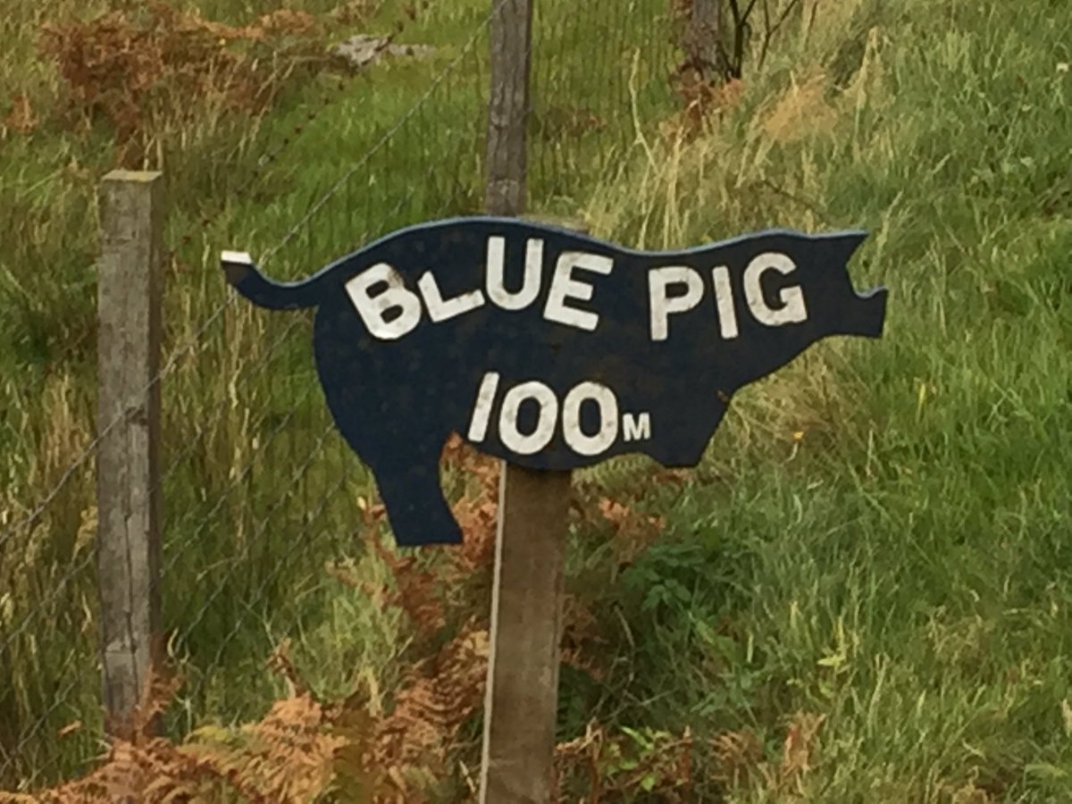 IsnWilson's tweet image. #twitterblades says it all😆