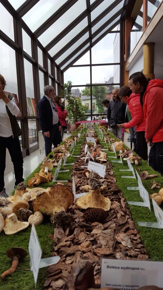 Era Val d’ #Aran compde damb 556 espècies de misharnons identificadi des 3.000 catalogadi en Catalonha.