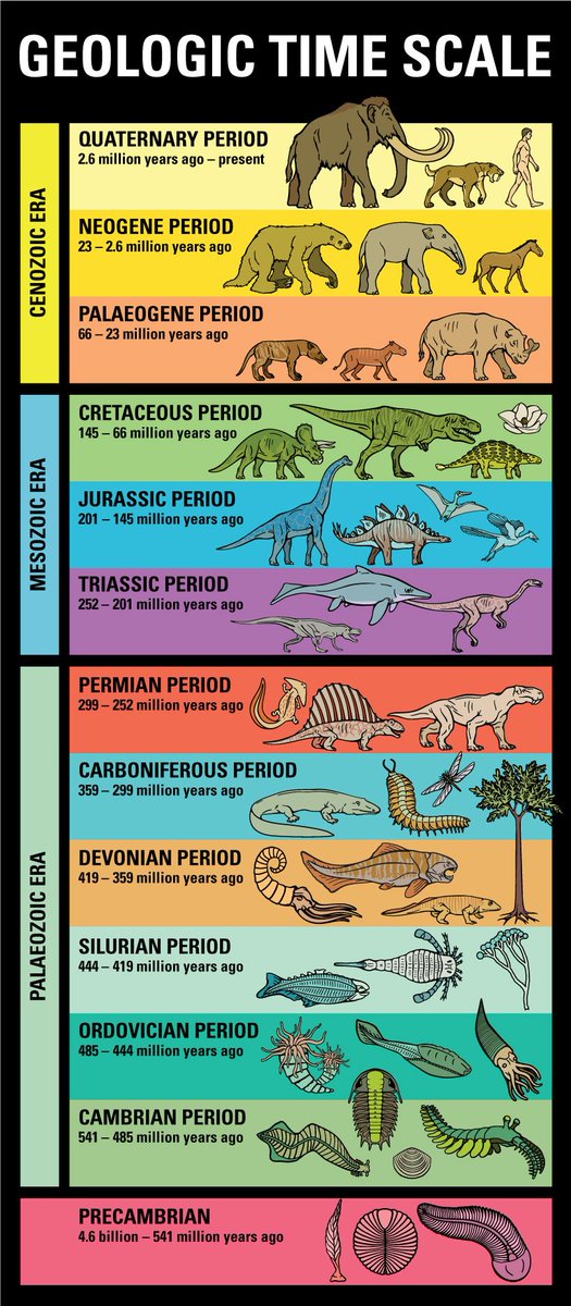 Image result for geologic time scale