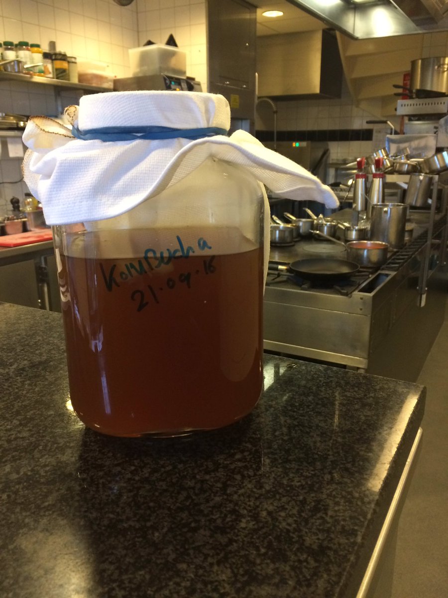 ChefRickDeJong's tweet photo. The start of kombucha @restaurant Os en Peper thnx to @delibrije @Librijekombucha https://t.co/mnlanqbp5b