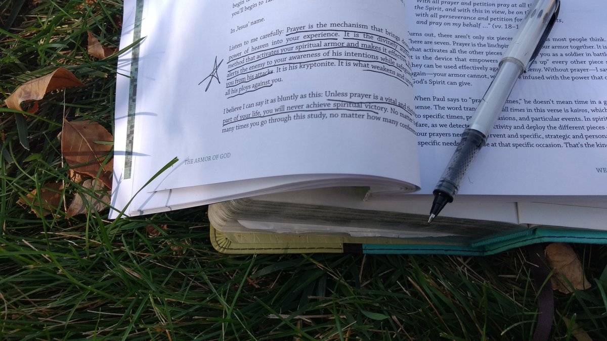 swannymom's tweet photo. Reading time after lunch is my fav part of homeschool #ArmorOfGodStudy https://t.co/Yc8e7E46PL