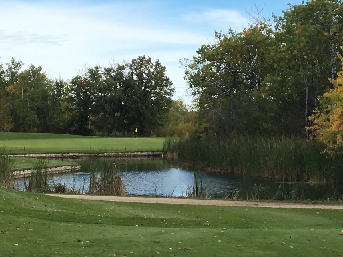 Ken Wiebe tweet media