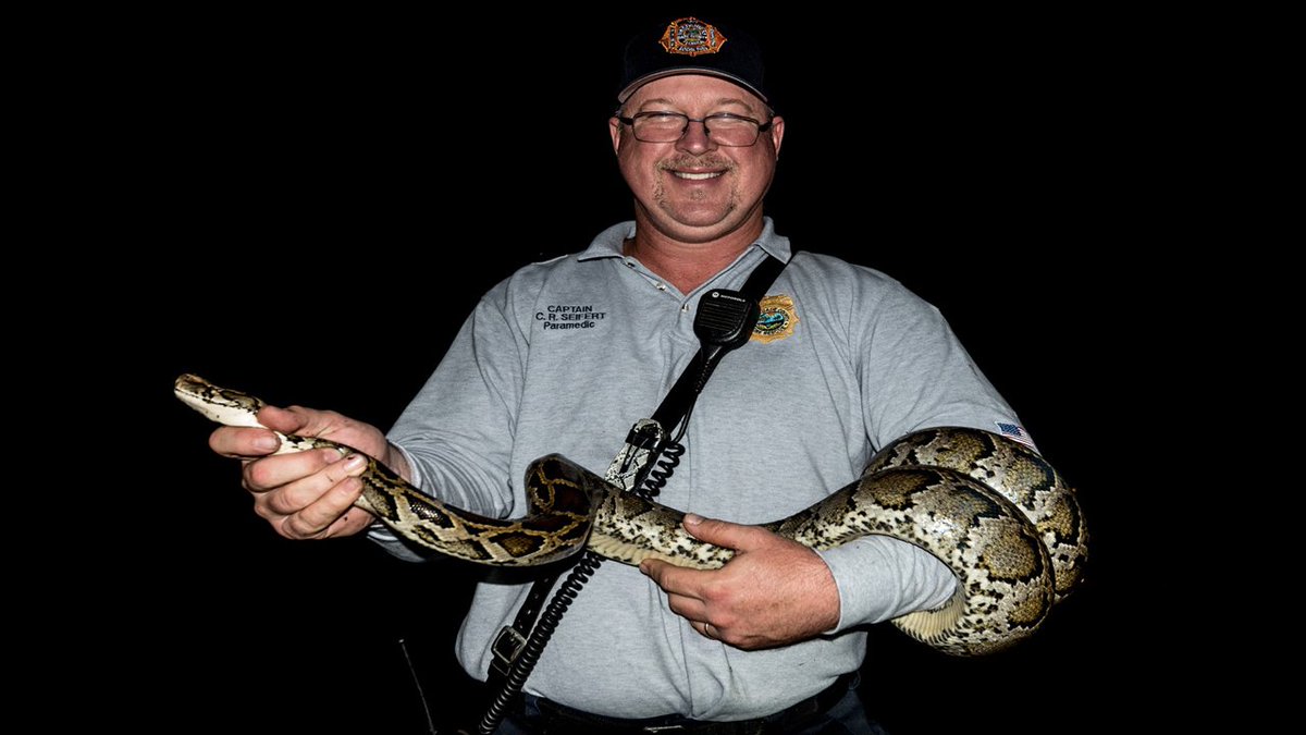 8-foot-long Burmese python captured in southwest Miami-Dade bit.ly/2dbiKwD?utm_me… https://t.co/tLkAbKoSUu