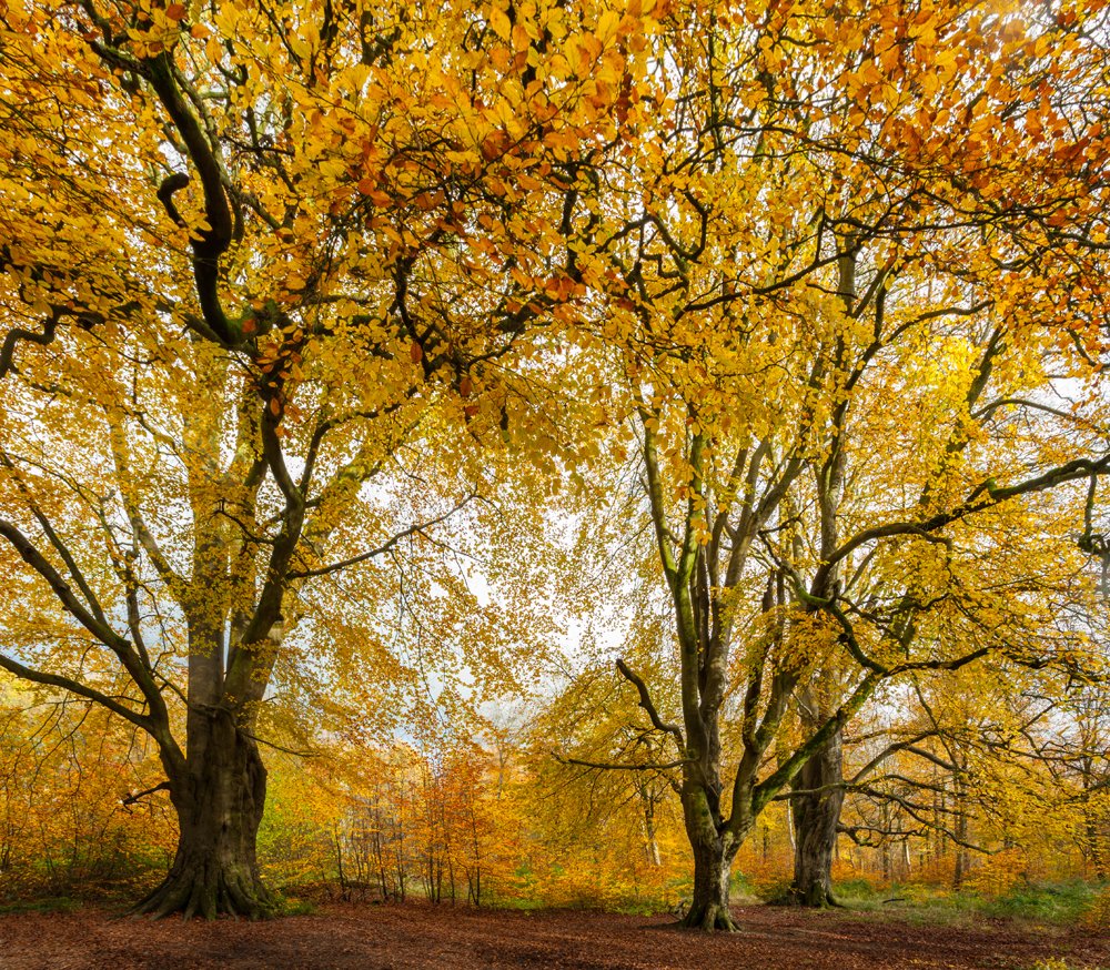 Fancy a break of it this autumn? Check out these special offers on places to stay ow.ly/symQ303UpAR