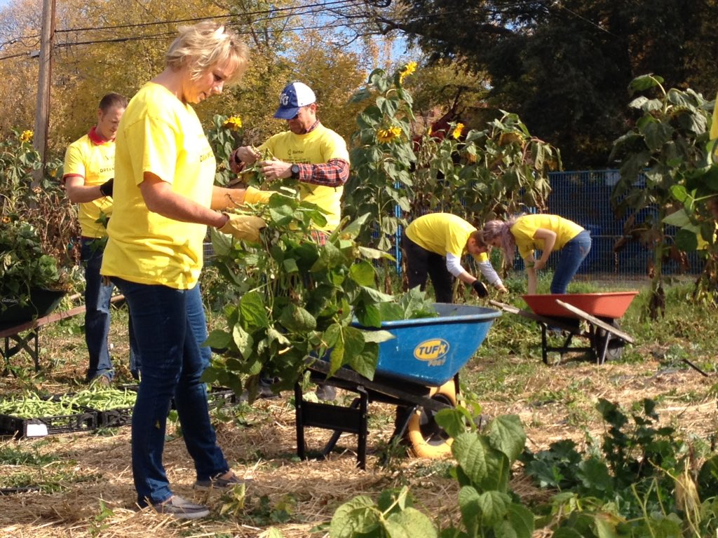 KevinLasiuk's tweet photo. Beautiful day to volunteer at the @yxeFoodBank garden. @Stantec S'toon office staff giving back to the community. #stantecinthecommunity https://t.co/rmFJKLiTS3