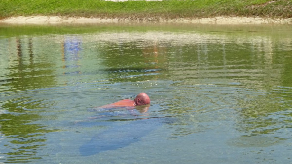 'Student preacher' arrested, accused of trying to ride #manatee in Keys bit.ly/2cZSG6d?utm_me… https://t.co/hipinJdcgq
