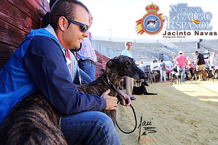 GRAN GALERÍA DE IMAGENES DEL DÍA GRANDE DEL CLUB NACIONAL DEL GALGO ESPAÑOL CELEBRADO EN EL CASAR DE CÁCERES
galgoes.com/Casar%20de%20c…