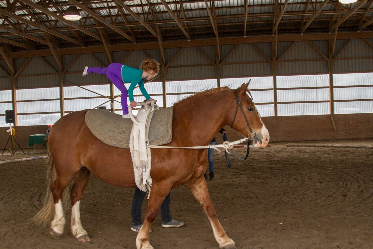 TCOBrantford's tweet photo. Summersaulting...on the back of a moving horse. Yes! Right here in Brantford. https://t.co/nLkoIqUHw3 #brantfordsports https://t.co/GYevm4A0Z4