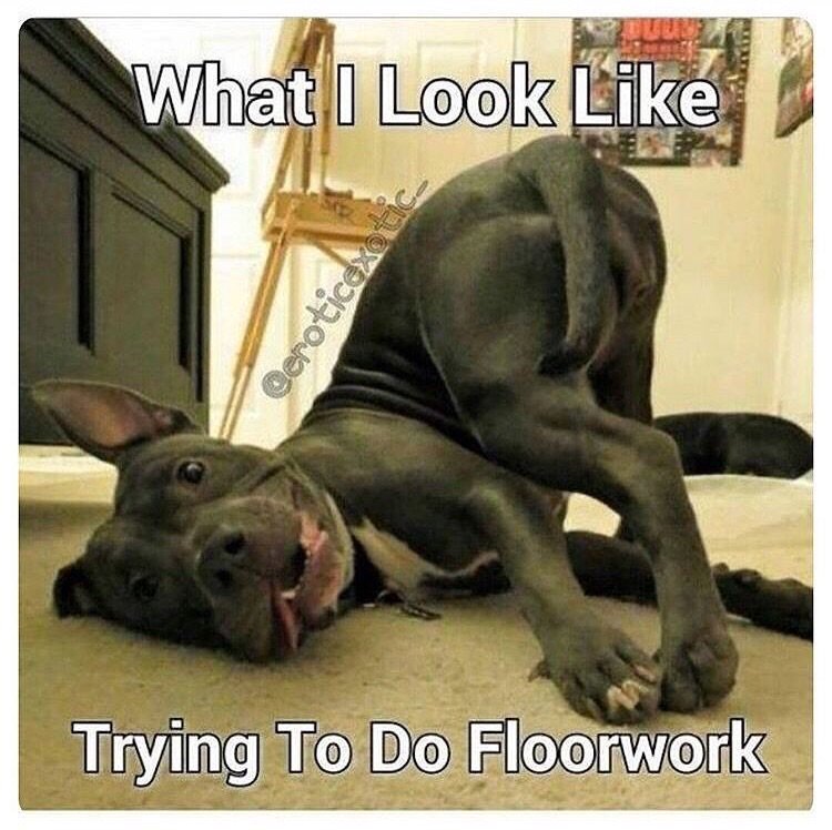 PoleDanceNation's tweet photo. OR trying to do acro ... OR contortion 😂 #POTD #PolePeopleProblems #PoleDance #Acro #Contortion https://t.co/T7YNGn4Eg6