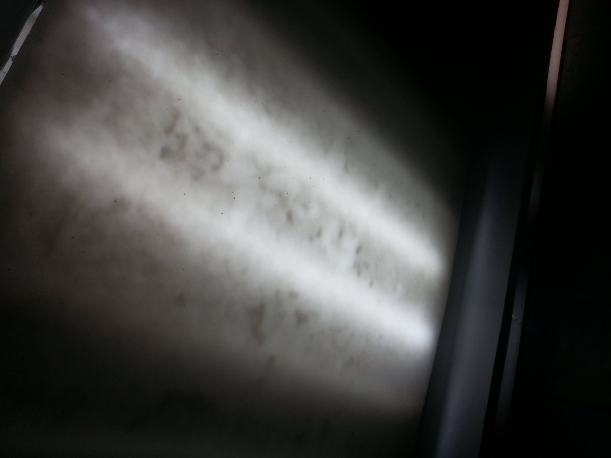 170Lees's tweet photo. Elevator Lobby Light Fixture. Has this thing ever been cleaned? Doubtful. #slum #ottawacity #ottawahealth #gross https://t.co/SCZBsyT8D0