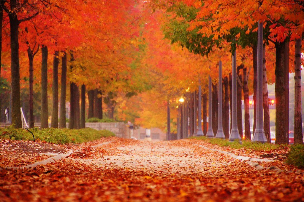 Visit Fort Wayne tweet media