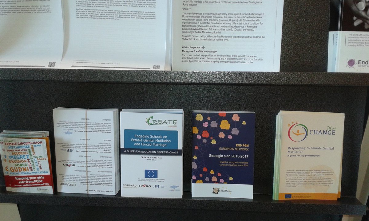 ENDFGM_Network's tweet photo. #ChangePlus brochure featured with other promising practices during #CDDH mtg drafting guide on #FGM & FM @coe https://t.co/Q11CKTP2Ec