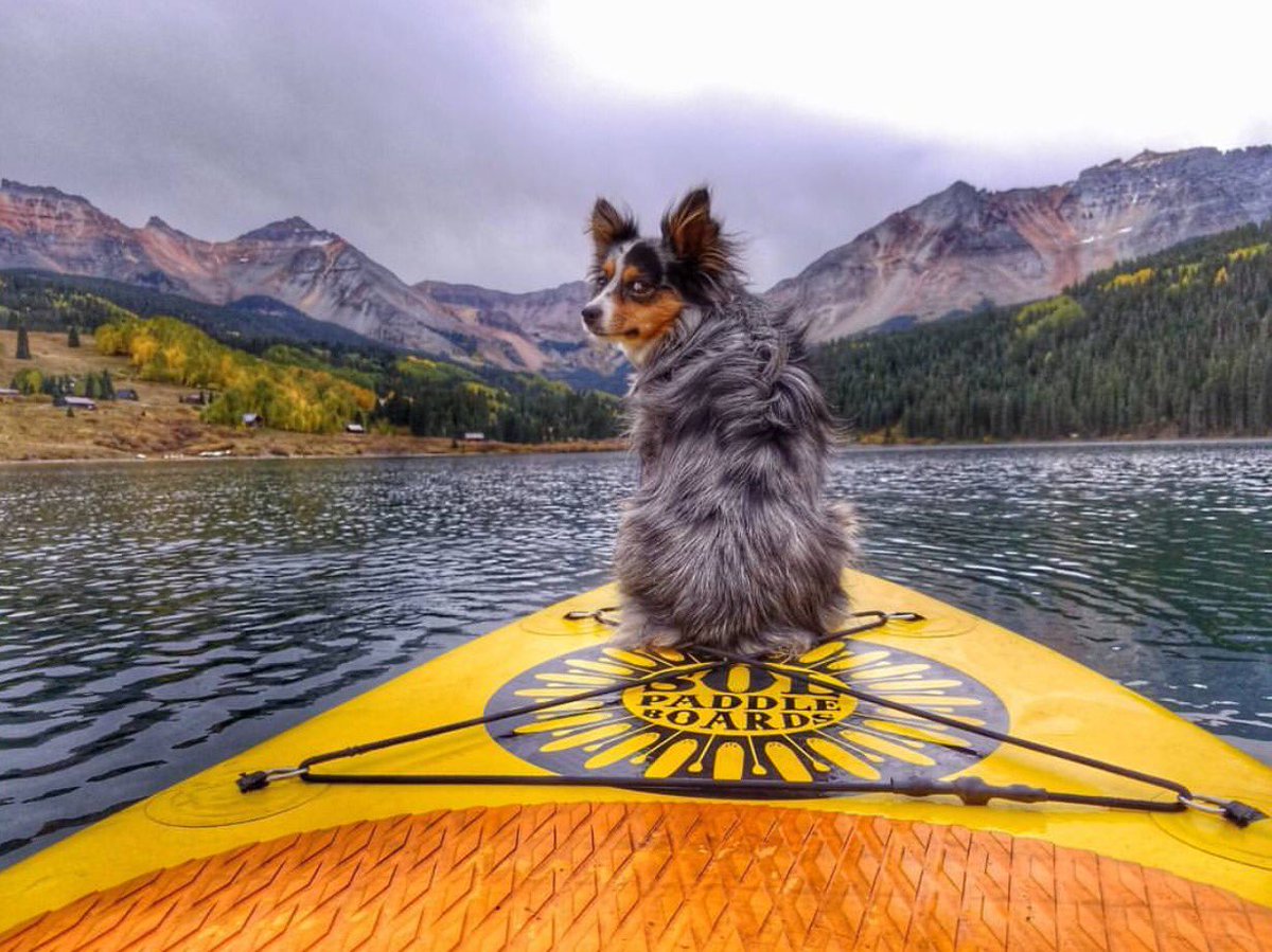 We'd like to welcome the first day of fall #paddlewithsol