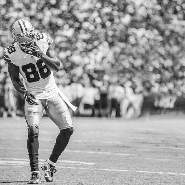alandomcha143's tweet photo. #DallasCowboys https://t.co/juMNOelwWC