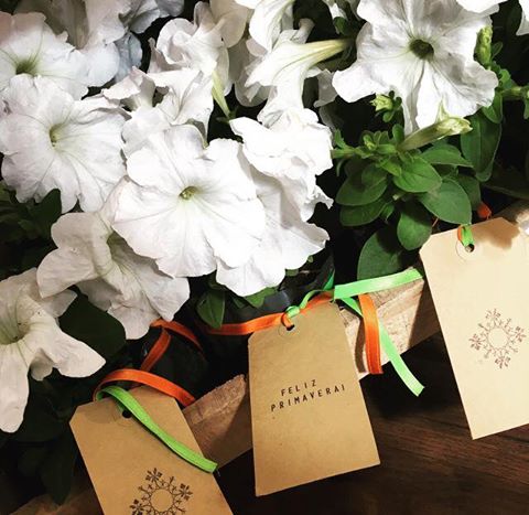 #FelizMiercoles #FelizPrimavera! Detalles que marcan la diferencia