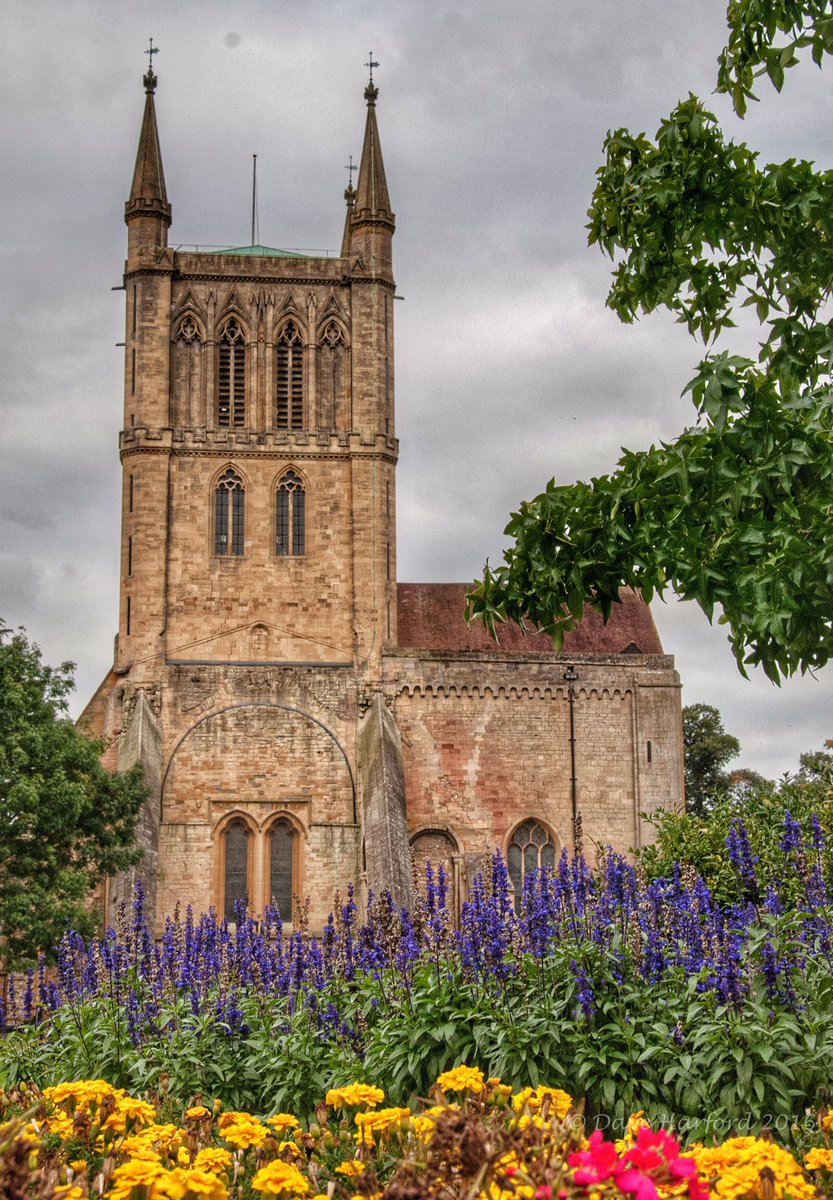 Dave Harford Photos tweet media