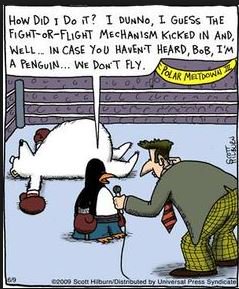 Antarcticdentty's tweet photo. If I may @WideWhiteStage @AntarcticHT penguins all the way! #PolarWeek #Penguis vs #polarbears https://t.co/zUKfElTvNY