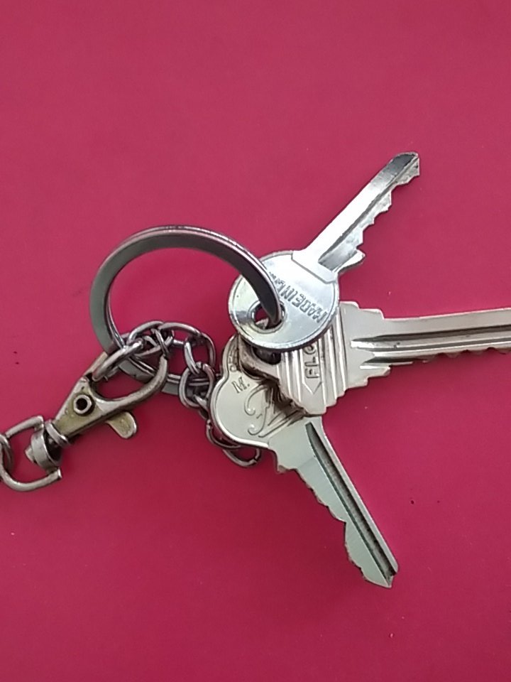 Danfloclau's tweet photo. 🔑🔑 Encontradas ayer en @ParqueRamonCruz @DesdeNunoa @Nunork @parqueJuanXXIII @NunoaSplendid @nunoa @Siliconvalle @nunorktimes @stolkan RT https://t.co/EEtS29ewrj