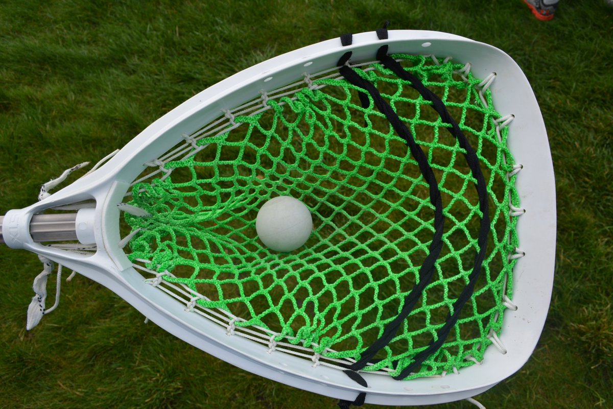 Bucky T. tweet media