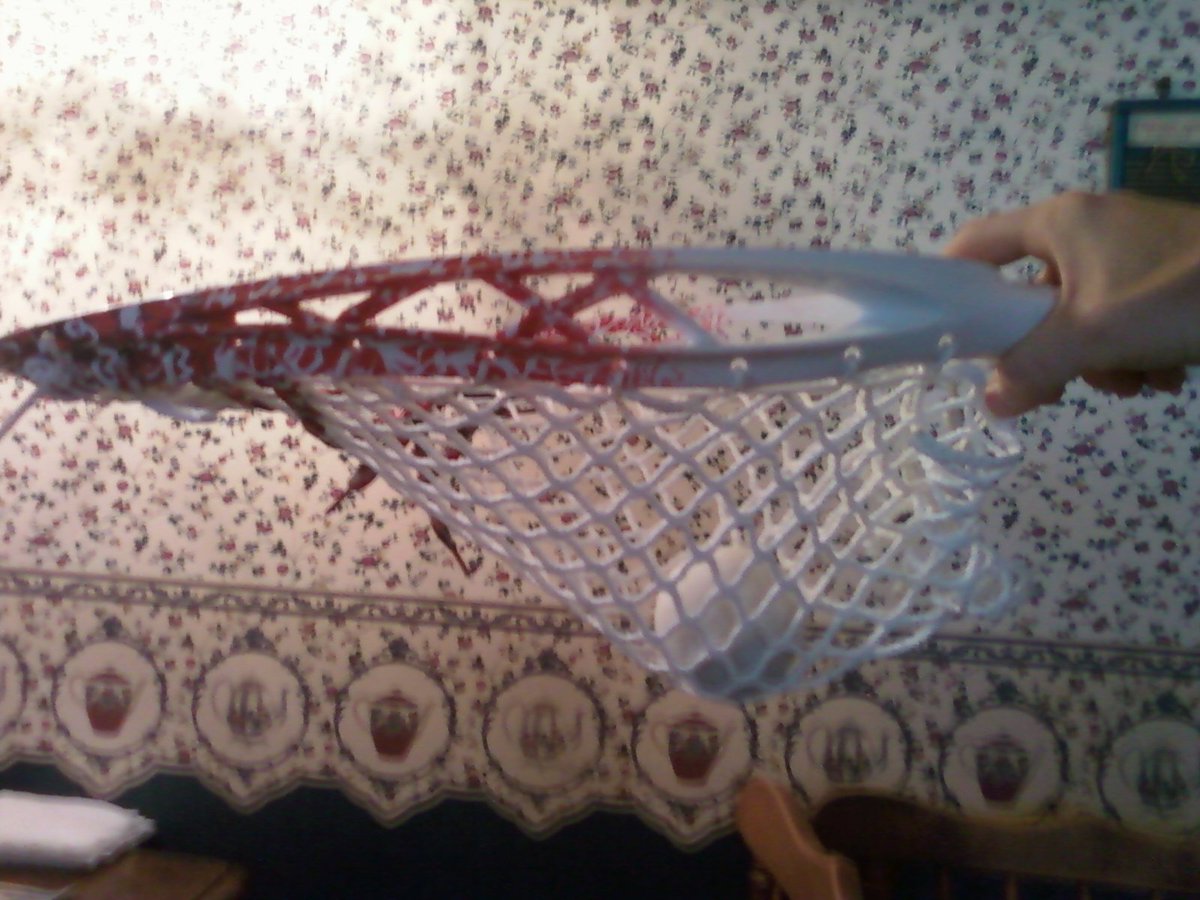 Bucky T. tweet media