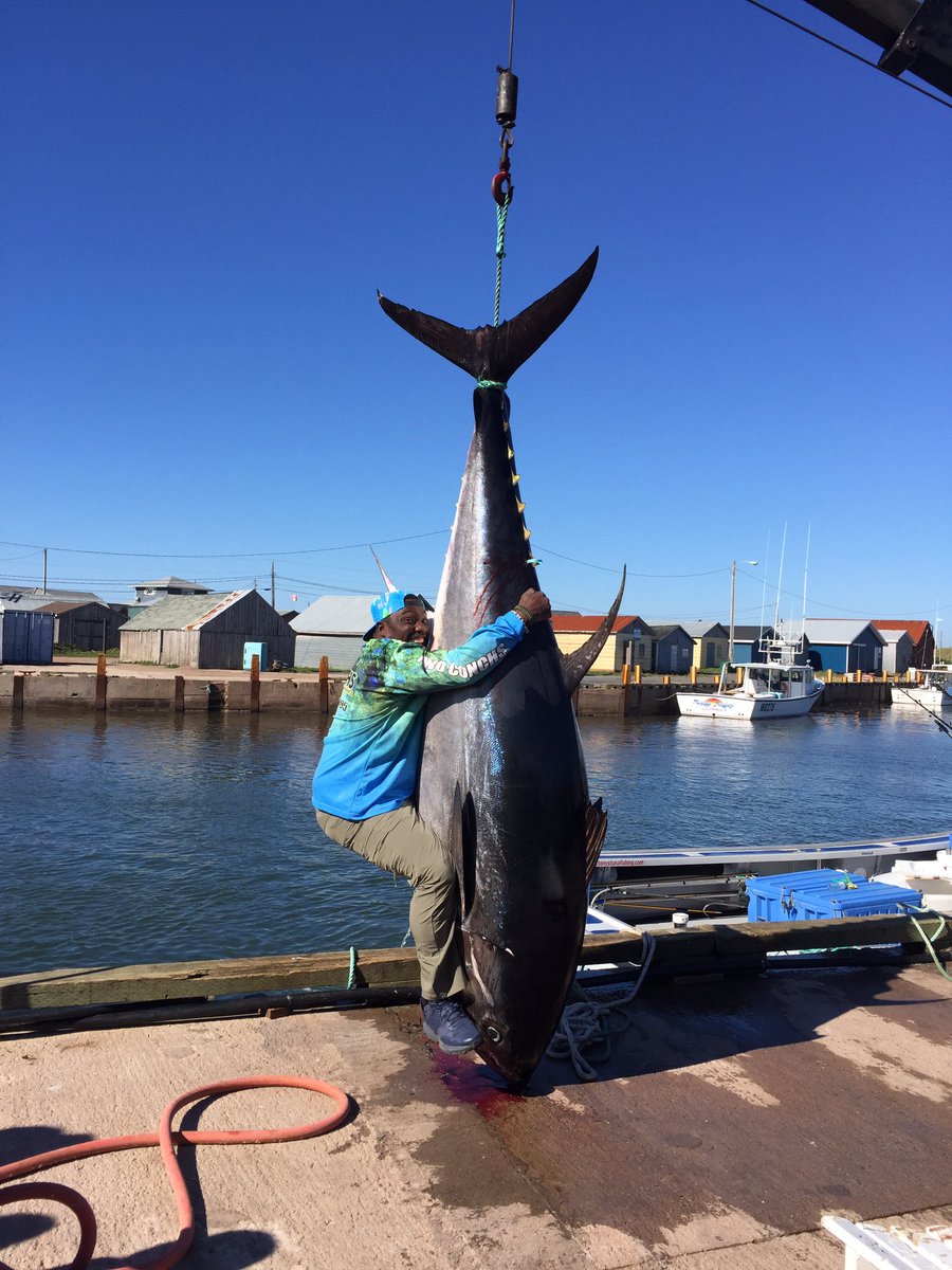 WarrenSapp's tweet photo. Giant Tuuuna! thanks @PEIseaadventure https://t.co/lz3fMXgIyA