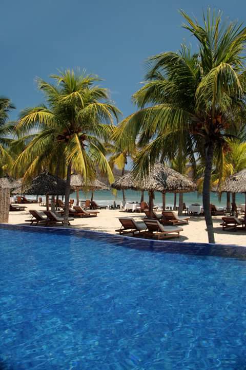 SDarmanta's tweet photo. @choco_haggen @tanais34 @Gabbar_of_God @xmsangelicax @PatrickDNair @nikoorokh @LauraAn95487384 @syedbju https://t.co/5kEWLY8PPc